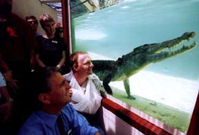 Alice Springs Reptile Centre - Accommodation ACT 1