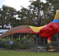 Gumbuya Park - Accommodation ACT