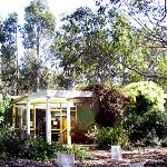 Koala Conservation Centre - Accommodation ACT 1