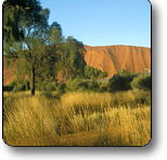 Uluru - Kata Tjuta National Park - Accommodation ACT