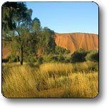 Uluru - Kata Tjuta National Park - Accommodation ACT 0
