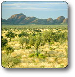 Uluru - Kata Tjuta National Park - Accommodation ACT 2