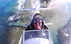 Tiger Moth World Adventure Park - thumb 0