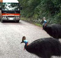 Kookaburra Tours - Accommodation ACT