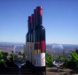 Mount Tamborine Winery  Homestead - Accommodation ACT