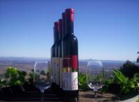 Mount Tamborine Winery & Homestead - Accommodation ACT 0