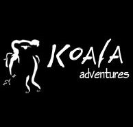 Koala Adventures - Accommodation ACT
