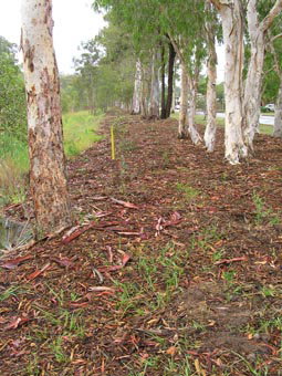 Kumbartcho Sanctuary - Accommodation ACT 1