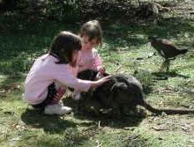 Urimbirra Wildlife Park - Accommodation ACT 1