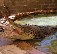 Wyndham Zoological Gardens and Crocodile Park - Accommodation ACT