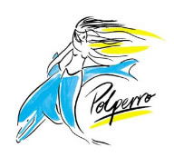 Polperro Dolphin Swims - Accommodation ACT 0