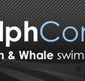 Dolphcom - Dolphin  Whale Swimming Adventures - Accommodation ACT