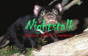 Something Wild - Accommodation ACT 1