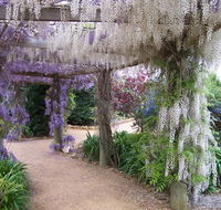 Abingdon Miniature Village - Accommodation ACT