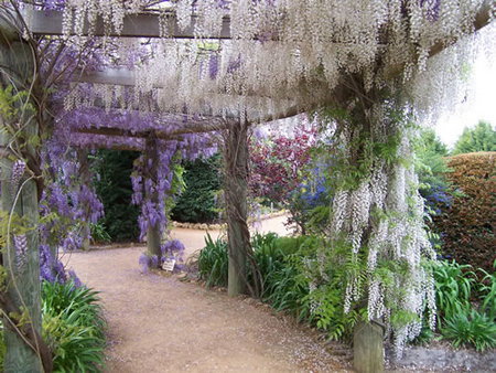 Abingdon Miniature Village - Accommodation ACT 0