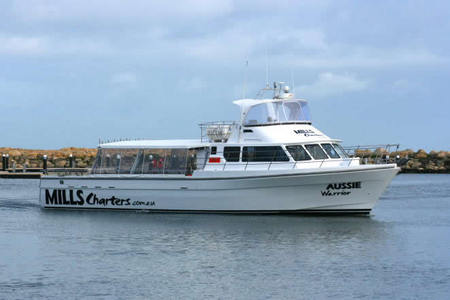 Mills Charters Fishing And Whale Watch Cruises - Accommodation ACT 1
