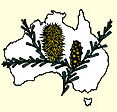 Australian National Botanic Gardens - Accommodation ACT