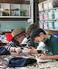 Australian National Botanic Gardens - Accommodation ACT 2
