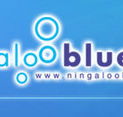 Ningaloo Blue Dive - Accommodation ACT