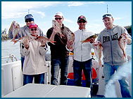 Odyssey Charters - Accommodation ACT 2