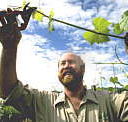 Barossa Experience Tours - Accommodation ACT