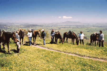 Watsons Trail Rides - Accommodation ACT 1