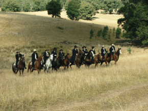 McCormacks Mountain Valley Trail Rides - Accommodation ACT 0