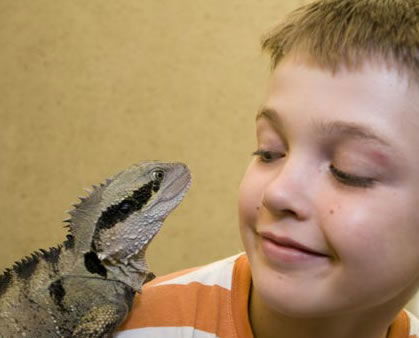 Geckoes Wildlife Presentations - Accommodation ACT 2