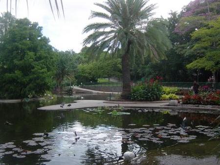 Brisbane City Botanic Gardens - Accommodation ACT 0