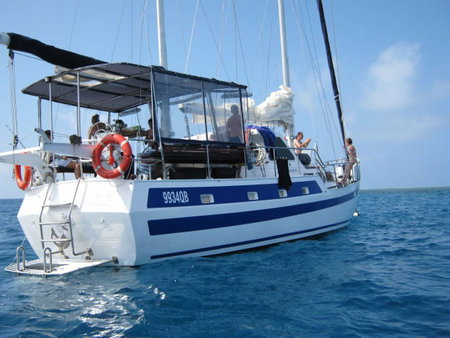 Coral Sea Dreaming Dive And Sail - Accommodation ACT 3