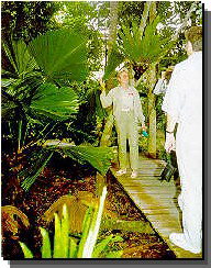 Daintree Rainforest River Trains - Accommodation ACT 1