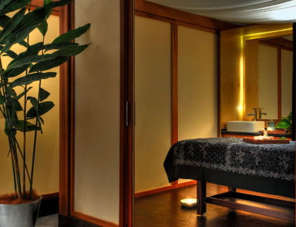 Pure Energy Concept Spas - Accommodation ACT 2