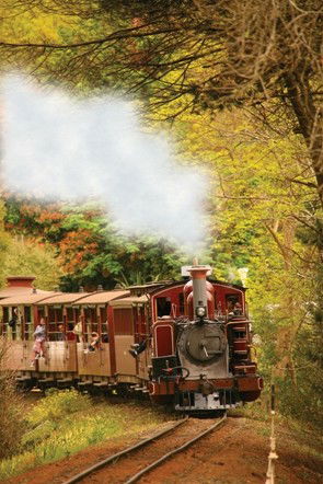 Puffing Billy - Accommodation ACT 5