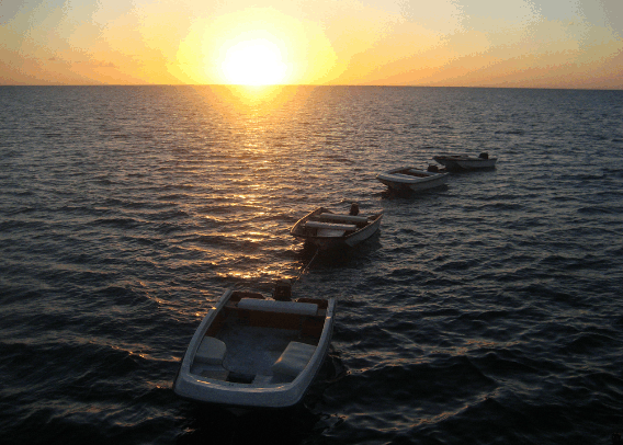 Carlo Fishing Charters - thumb 2
