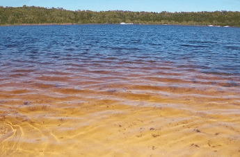 Beach Trekkers North Stradbroke Island - Accommodation ACT 1