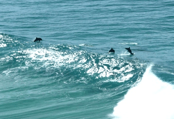Beach Trekkers North Stradbroke Island - Accommodation ACT 2