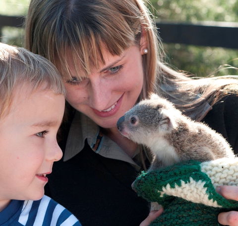 Australian Reptile Park - Accommodation ACT 1