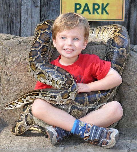 Australian Reptile Park - Accommodation ACT 3