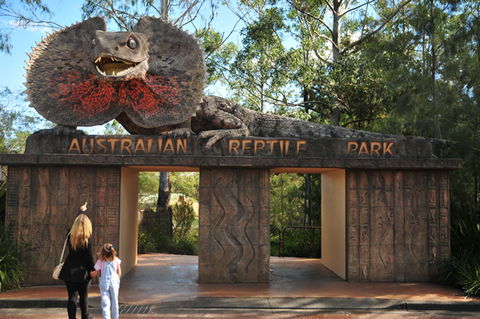 Australian Reptile Park - Accommodation ACT 5