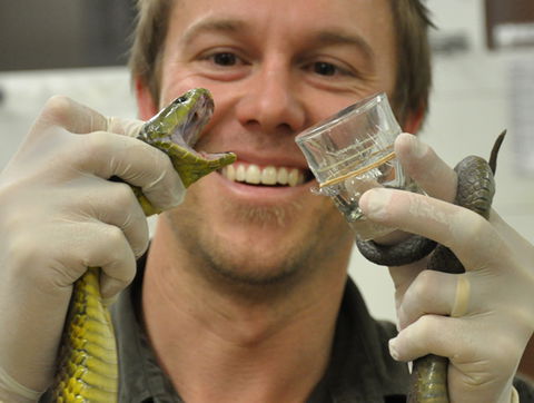 Australian Reptile Park - Accommodation ACT 9
