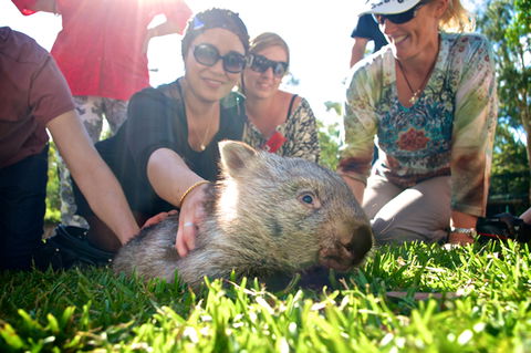 Australian Reptile Park - Accommodation ACT 10