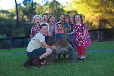 Australian Reptile Park - Accommodation ACT 11