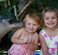 Dolphin Marine Magic - Accommodation ACT