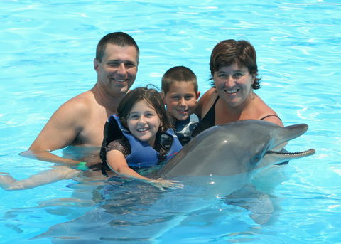 Dolphin Marine Magic - Accommodation ACT 2