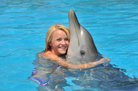 Dolphin Marine Magic - Accommodation ACT 5