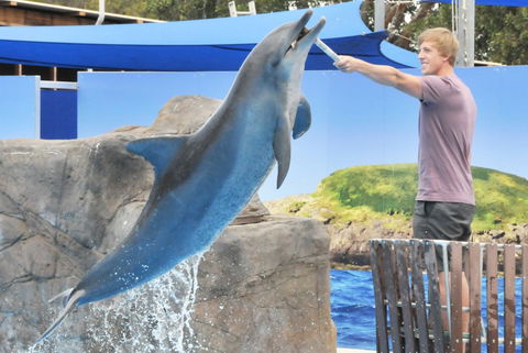 Dolphin Marine Magic - Accommodation ACT 7