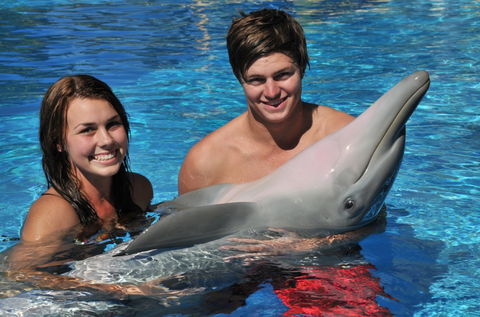 Dolphin Marine Magic - Accommodation ACT 8
