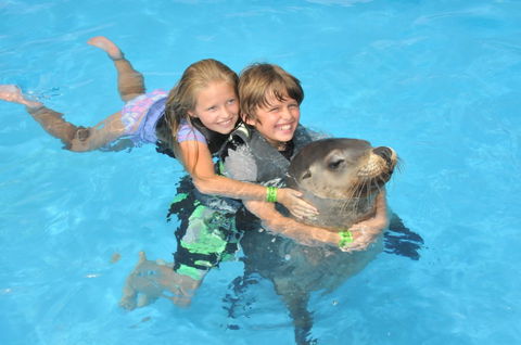 Dolphin Marine Magic - Accommodation ACT 9