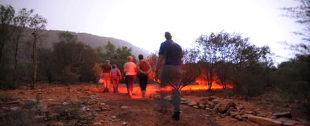 Alice Springs Desert Park - Accommodation ACT 4