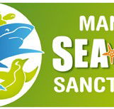 Manly SEA LIFE Sanctuary - Accommodation ACT
